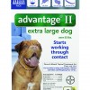 Advantage_6pk_XLargeDog_Front